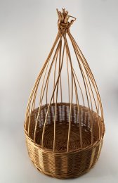 F29/07 cage